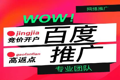 某电商平台的sem竞价推广托管经验